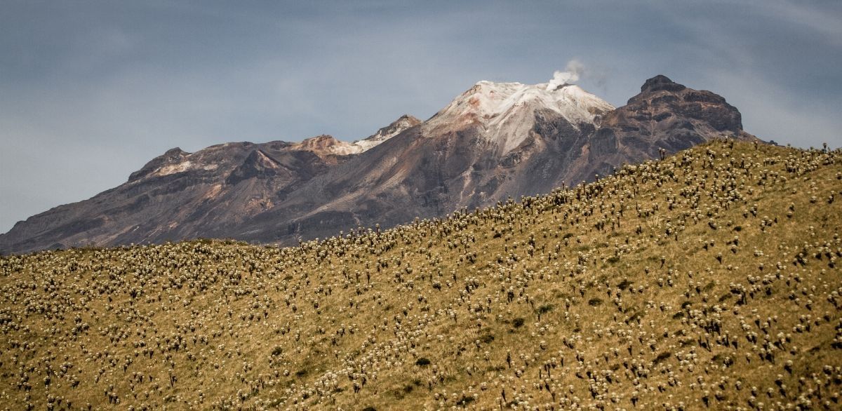 volcanes del sur 05